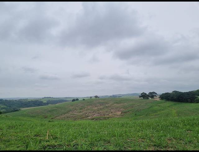 80,000M² VACANT LAND FOR SALE IN SHAKASKRAAL